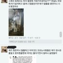 어제 난리났던 강아지유치원 학대 있잖아요ㅠㅠ 이미지