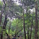 안덕계곡 앞 4 이미지