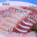 토비야 Daum카페