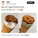 나여 못된 찹쌀꽈배기 | 화이팅..커벨 🧚‍♀️