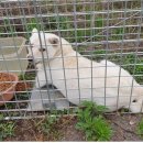 남해안대로 이미지