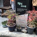 영희네집밥 이미지