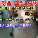 [AI로 만든 노래] 내 심장을 훔친 솜방방이 이미지