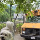 달려라 해피 이미지