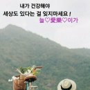 한주 Daum카페