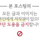 금호타이어프로 강화점 이미지