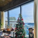 슈가몽 544 이미지