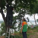 재난CCTV 이미지