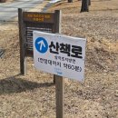 강릉목장 | 강릉패스로 즐기는 대관령 하늘목장, 눈길 산책로 등산 후기