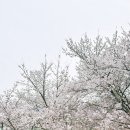 알프스펜션 이미지