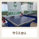 탁구 | 안중 무인 탁구장 탁구 프렌즈 내돈내산 후기