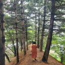 서동대로 네이버블로그