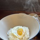 보글보글짜글이 | 🍲 [분당 야탑 맛집] 진짜 밥도둑 김치짜글이의 정석! 1992덮밥&amp;짜글이 분당야탑점 솔직 리뷰 😋