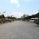 사과랑관광농원 이미지