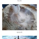 용성농장 이미지