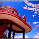 장미장여관 이미지