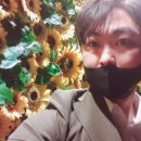 황금코다리와 인생쭈꾸미 이미지