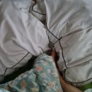 케이디바이오 | [한겨레출판편집스쿨 79기] 왜 벌써 6주차죠