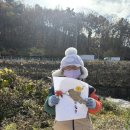 나뭇잎 발레리나 / 크레파스로 칠하는 숲 / 무지개 터널 만들기 이미지