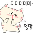 뜰안에냥 이미지