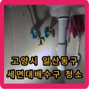 시흥;안산대동 | 고양시 일산동구 백석동 배수구 막힘 및 폽업, 배관 교체 후기 - 물이 안내려가요.ㅜㅡ