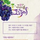 안성서운포도 이미지