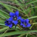 용담초등학교 이미지