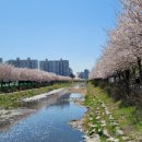 자인공인중개사사무소 이미지