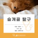 검단이담동물의료센터 이미지