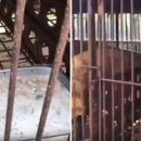 누렁이농장 이미지