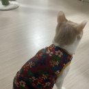 등촌극장 이미지