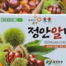 알밤이밥상 티스토리