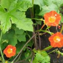 애향목장 이미지