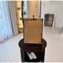 스테이 누누 이미지