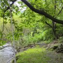 시냇가 하얀집 이미지