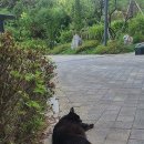 Take me home country road 이미지