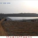 선장면 아산만로 이미지