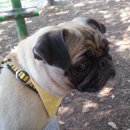 삼무공원 이미지