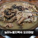 중앙토종닭 | [용인중앙시장맛집] 오리마당 능이누룽지백숙,쫀득누룽지 보양식 솔직후기