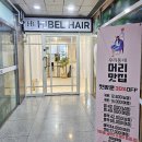 하이블헤어