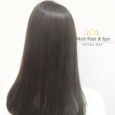 헤어 봄 이미지