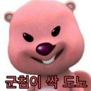 조은오리 이미지