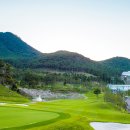 로얄카인테리어 이미지