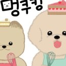 옥정강아지 이미지