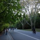 센트럴프라자(남쪽 출입구 옆) | [뉴욕 여행, 산책 코스] 가장 여유로운 순간, 센트럴파크 산책기