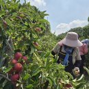 보석농장 이미지