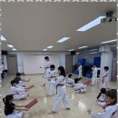 소나무향기태권도 이미지