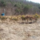 천등농장 이미지