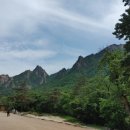 동백자연에너지 이미지