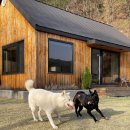 힐링숲민박 이미지